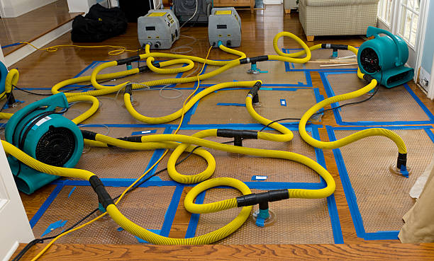 Professional Storm Water Damage Restoration technician working in Bosler, WY